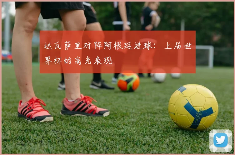 达瓦萨里对阵阿根廷进球：上届世界杯的高光表现