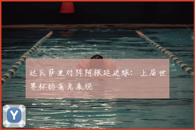 达瓦萨里对阵阿根廷进球：上届世界杯的高光表现